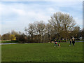 TL1406 : Flooded land, Verulamium Park by Stephen Craven