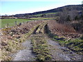 NJ5001 : Access track to a field off B9094 by Stanley Howe