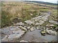 SD8092 : Limestone paved track, just west of Tarn Gill by Christine Johnstone