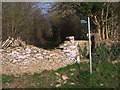 SP2002 : Stone stile and public footpath to Southrop by Vieve Forward