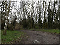 TM2396 : Palmer's Lane Bridleway to Hall Lane by Geographer