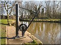 SJ5396 : Sankey Canal Crane, Stanley Bank by David Dixon