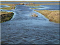 TF3601 : Distant gates - The Nene Washes by Richard Humphrey