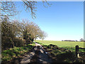 TM3693 : Litchmere Lane, Ellingham by Geographer