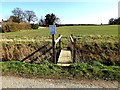 TM3793 : Footbridge to the permissive bridleway off Church Road by Geographer