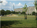 TQ3377 : Burgess Park, manmade knoll and bank slide by Robin Stott