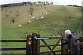 SE8255 : Deep Dale, East Yorkshire Wolds by Ian S