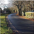 ST1176 : Access road to St Fagans National History Museum by Jaggery