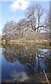 NH3214 : Pond reflections, by Dundreggan Lodge by Craig Wallace