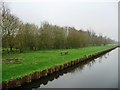 SE7322 : Canalside nature trail, Aire & Calder Navigation by Christine Johnstone