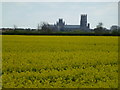 TL5382 : Rape in flower north of Ely by Richard Humphrey