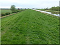 TL4784 : The bank of The Ouse Washes by Richard Humphrey