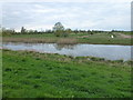 TL4683 : Cradge Bank on The Ouse Washes by Richard Humphrey