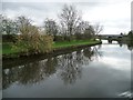 SE6010 : River Dun Navigation, north of the Don railway bridge by Christine Johnstone