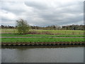 SE6008 : Towpath, east bank, River Dun Navigation by Christine Johnstone