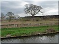 SE6008 : 'Please no dog mess' along the towpath by Christine Johnstone