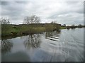 SE6007 : Ripples, River Dun Navigation by Christine Johnstone