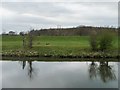 SE6007 : Eastern floodbank of the River Don by Christine Johnstone