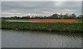 SE5906 : Safety fencing on the Don riverbank [2] by Christine Johnstone