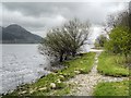 NY2128 : Bassenthwaite Lake, Beck Wythop by David Dixon