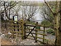 NY2128 : Path to Bassenthwaite Lake at Beck Wythop by David Dixon