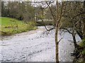 NY2523 : River Derwent near Portinscale Bridge by David Dixon