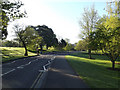 SU9850 : Campus Road on Stag Hill Campus at The University of Surrey by Geographer