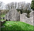 J0422 : The common gable wall shared by the conjoined churches at Killevy by Eric Jones