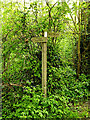 TM3569 : Footpath sign on Loves Lane footpath by Geographer