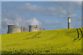 SK5027 : Rape field north of Kingston on Soar by David Lally