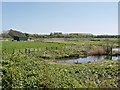 SD4214 : View from Kingfisher Hide, Martin Mere WWT Centre by David Dixon