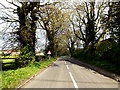 TM4384 : Sotterley Road, Willingham by Geographer