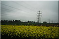 SO6421 : Pylons at Pontshill by John Winder