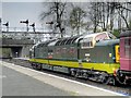 SD8010 : Deltic D9009 at Bolton Street Station by David Dixon