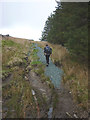 SD7688 : Repaired bridleway above Cowgill by Karl and Ali