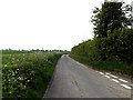 TM4295 : Pound Lane, Toft Monks by Geographer