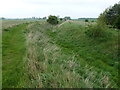 TF6512 : Ancient earthworks at Wormegay, Norfolk by Richard Humphrey