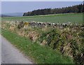 NO7393 : View towards Cairnshee Wood by Stanley Howe