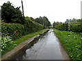 TM4494 : Waterheath Road & Waterheath Road George V Postbox by Geographer