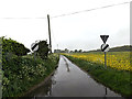 TM4495 : Church Lane, Aldeby by Geographer