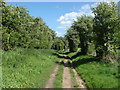 TQ0348 : Footpath to Guildford Lane by Alan Hunt