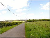  : View along the lane by Robert Graham