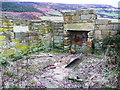 NZ9702 : Ruined cottage in the alum works site by Humphrey Bolton