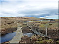 NT9019 : Small tarn on The Cheviot by Alan O'Dowd