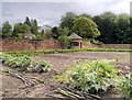 SJ7481 : Vegetable Garden at Tatton Park by David Dixon