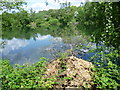 TQ5156 : Fallen tree at Sevenoaks Wildlife Reserve by Marathon