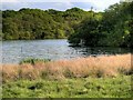 SJ7579 : Tatton Mere by David Dixon