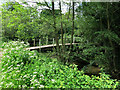 TQ5645 : Straight Mile Bridge & Penshurst Canal by Des Blenkinsopp