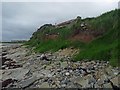 HY6523 : Settlement mound, Lower Dishes, Stronsay, Orkney by Claire Pegrum