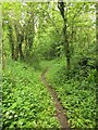 SX7661 : Path near Petoe by Derek Harper